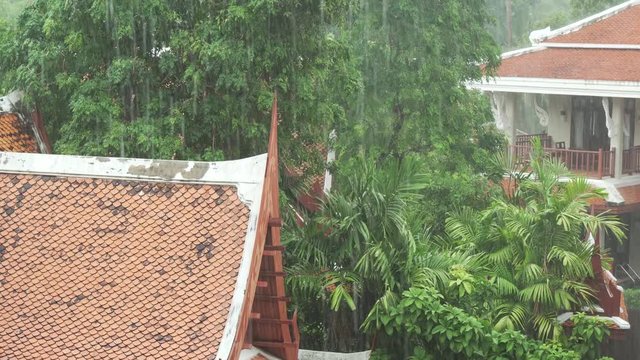 Strong tropical downpour in Thailand stock footage video