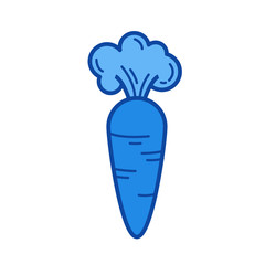 Fresh carrot vector line icon isolated on white background. Fresh carrot line icon for infographic, website or app. Blue icon designed on a grid system.