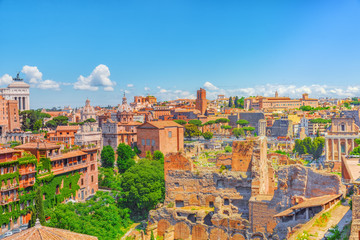 Fototapeta premium View from the Roman Forum and Palatine Hill(Collina del Palatino ) on top of Rome.