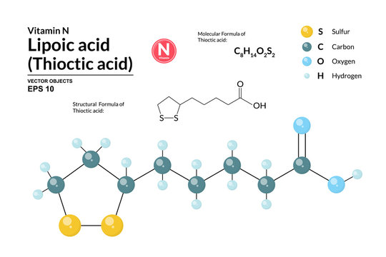 Structural chemical molecular formula and model of Lipoic acid. Atoms are represented as spheres with color coding isolated on background. 2d and 3d visualization and skeletal formula. Vector formula