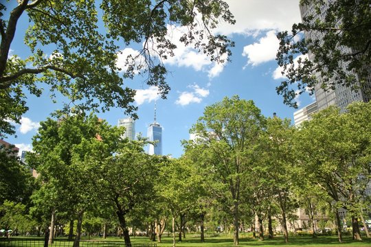 Park Filled With Trees And City Buildings In The Background