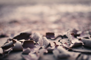Dry crack background vintage tone