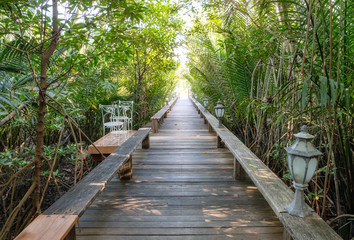 Wooden pathway in tropical shade garden