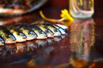 Fresh fish on wooden background. Rod fishing. Perch