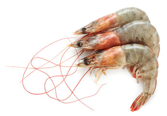 Fresh shrimps isolated on white background. Seafood.