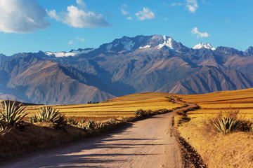 Peruvian pampa