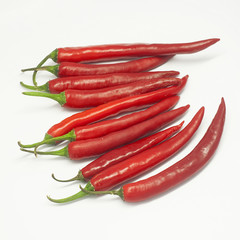 red chili isolated on white