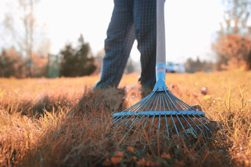 man with rakes in autumn old grass