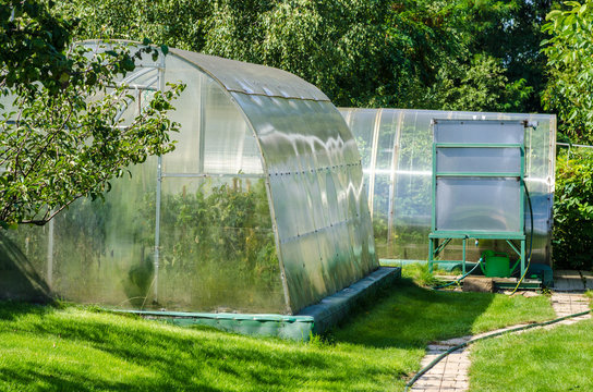 greenhouse or glasshouse on the backyard