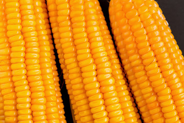 Corn kernels and corn stalks on black wooden background