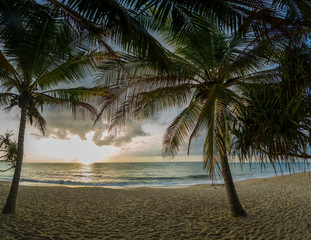 Sunset Beach with palm trees and beautiful sky.