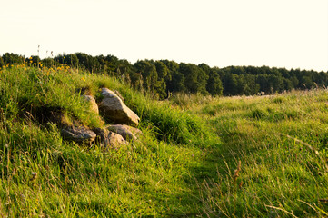 Weg auf einer Wiese mit Steinen
