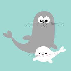 Sea lion. Harp seal pup. Cute cartoon character. Happy animal collection. Sea ocean water. Mother and baby family. Blue background. Flat design