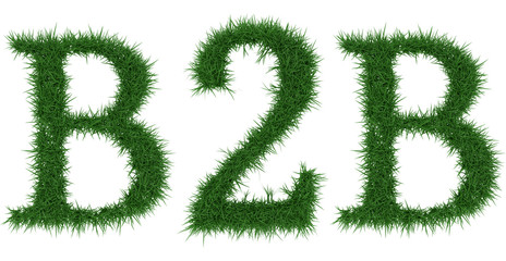 B2b - 3D rendering fresh Grass letters isolated on whhite background.