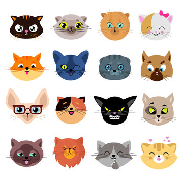 Heads of cute cat characters with different emotions vector set