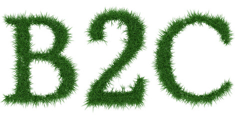 B2c - 3D rendering fresh Grass letters isolated on whhite background.