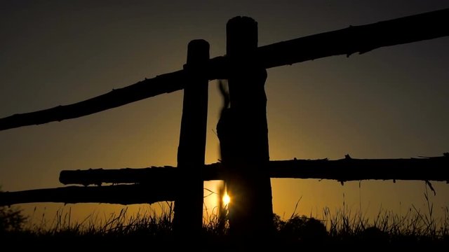 Old wooden fence in the sunset