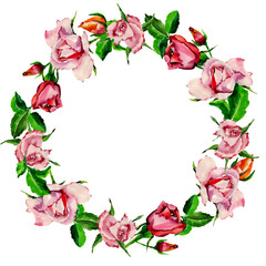 Obraz na płótnie Canvas Wildflower rose flower wreath in a watercolor style. Full name of the plant: rose. Aquarelle wild flower for background, texture, wrapper pattern, frame or border.