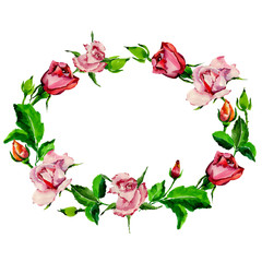 Wildflower rose flower wreath in a watercolor style. Full name of the plant: rose. Aquarelle wild flower for background, texture, wrapper pattern, frame or border.