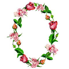 Wildflower rose flower wreath in a watercolor style. Full name of the plant: rose. Aquarelle wild flower for background, texture, wrapper pattern, frame or border.
