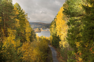 In autumn forest path to the lake