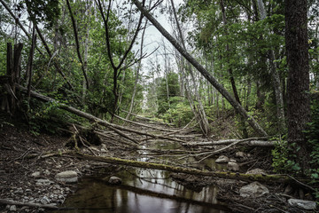 River low on water due to beaver activity