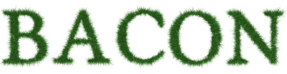 Bacon - 3D rendering fresh Grass letters isolated on whhite background.