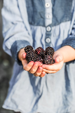 girl holding in hand fresh blackberries