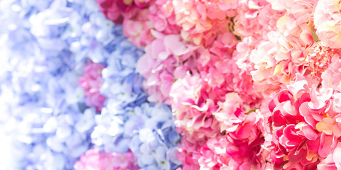 Multi colored flowers background