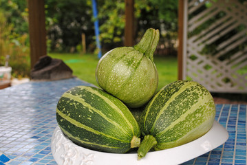 Speisekürbis eigene Ernte