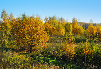 Fototapeta premium Autumn, beautiful day in fall season