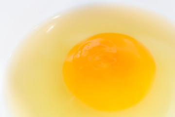 Chicken egg yolk, yellow yolk in a small white round shape bowl - view from above