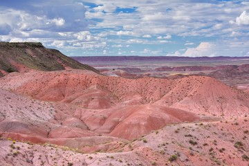 Petrified Forest National Park, USA.