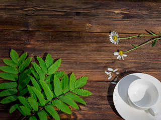 Empty White cup  with spring flowers on wooden background. Herbal tea Lifestyle Spring Breakfast Light background with flowers. Copy space. Nature Relax concept. Yin Yang