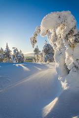 Winter landscape in Lapland in Northern Finland