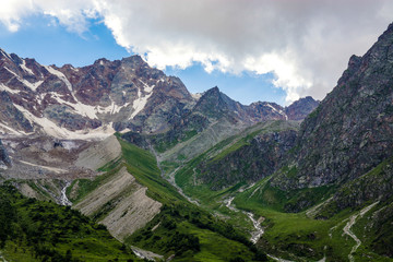 Amazing nature view of green mountain forest and tree growing on a rock, natural landscape perspective, Caucasus, Russia