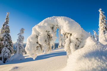 Winter landscape in Lapland in Northern Finland