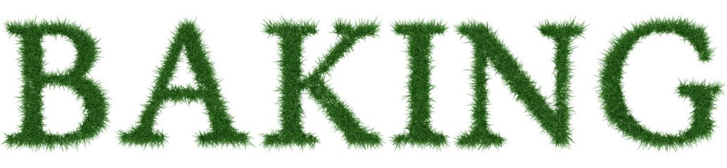 Baking - 3D rendering fresh Grass letters isolated on whhite background.