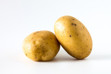 Potatos on a white background