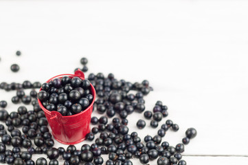 Many fresh ripe blackcurrant scattered and one full red metal bucket on old white rustic wooden planks