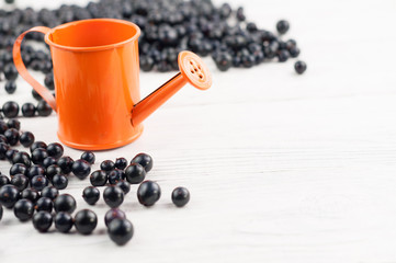 Fototapeta na wymiar Many fresh ripe blackcurrant scattered and one orange metal watering can on old white rustic wooden planks