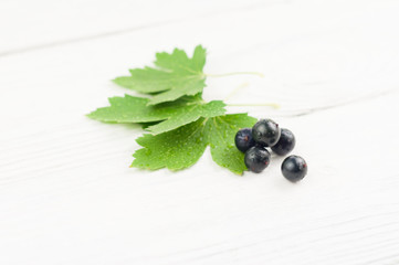 Fresh ripe blackcurrant on green leaves on old white rustic wooden planks