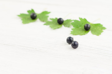 Fresh ripe blackcurrant on green leaves on old white rustic wooden planks