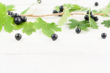 Fresh ripe blackcurrant and branch with green leaves on old white rustic wooden planks