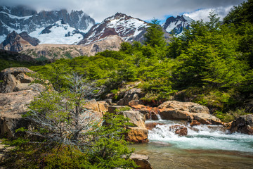 The bush grows on the bank of a mountain river. Shevelev.