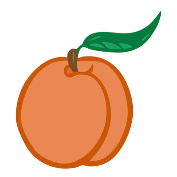 Peach. Isolated object. Flat vector image.