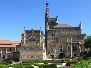 Fototapeta na wymiar Mata do bussaco, Portugal