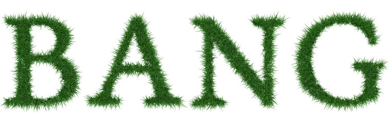 Bang - 3D rendering fresh Grass letters isolated on whhite background.