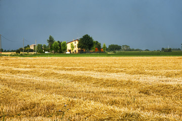 Fototapeta na wymiar Country landscape near Fiorenzuola (Piacenza, Italy)