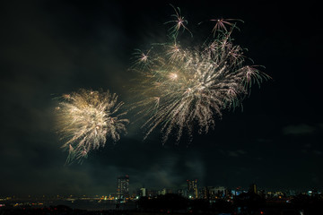 Japanese fireworks - 日本の花火　東京足立区１